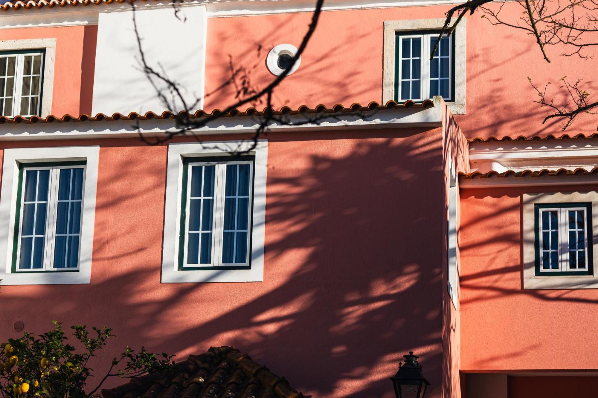 Jardim Da Lapa By Shiadu, Lisbon